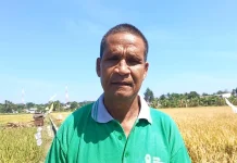 Petani Sulamanda Kupang Berkolaborasi Demi Tingkatkan Hasil Panen Padi