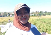 Petani Desa Sulamanda Merasakan Manfaat Gerakan Swasembada Pangan Pemerintah