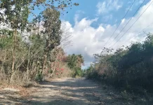 Jalan Batakte - Bolok Rusak Parah Ganggu Akses Warga menuju Pelabuhan