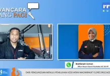 Pengungsi Pascagempa Flores Didominasi ISPA dan Penyakit Kronis
