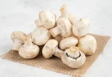 Jamur Kancing dan Mmanfaatnya untuk Tubuh