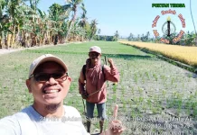 Ketersediaan Air Masih Mumpuni, Poktan TIROSA Optimistis Hadapi IP300