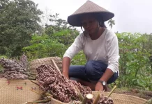 Pendiri Remaja Mandiri Community Ajak Anak Muda Bangun Desa