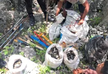 Penyidik Tangani Dugaan Penangkapan Ikan Gunakan Bahan Berbahaya