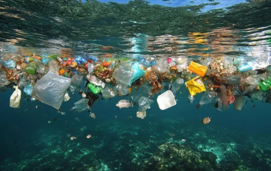 Penelitian BRIN: Mikroplastik Telah Mencapai Kedalaman Laut Indonesia