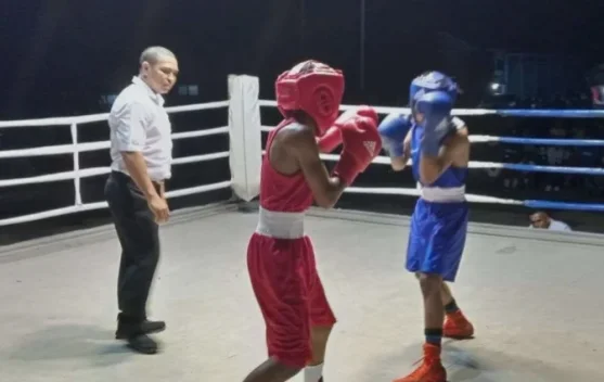 Pengrov Pertina  NTT Target Juara Umum PON XXII  2028