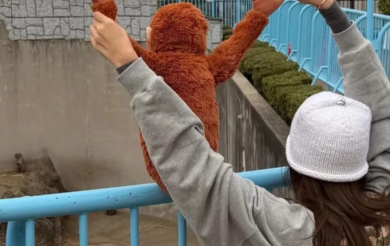 Lisa BLACKPINK Kunjungi Monyet Viral