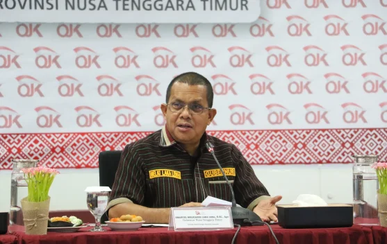 Gubernur NTT Dorong Perluasan KUR UMKM