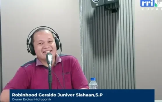 Strategi Petani Hidroponik Menembus Pasar Modern di Kupang