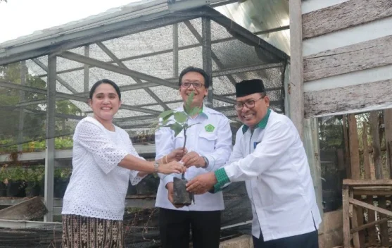 Gerakan Penanaman Pohon Matoa Jemaat  Betlehem Oesapa Barat