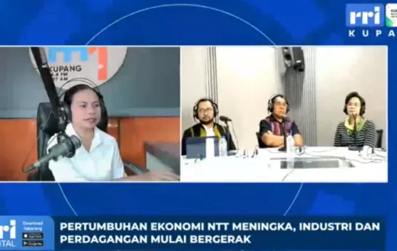 Ekonomi NTT Tumbuh Positif, UMKM dan Industri Semakin Bergerak