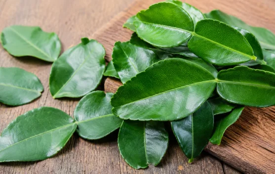 Daun Jeruk Purut, Bumbu Dapur yang Kaya Aroma dan Manfaat