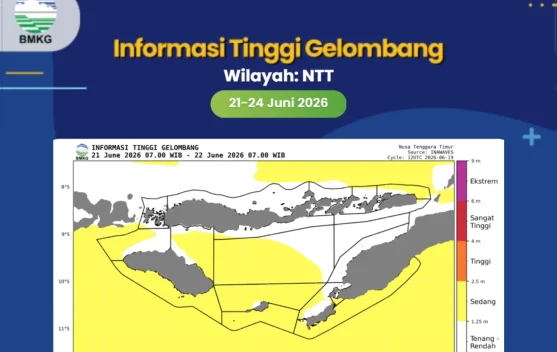 Peringatan Dini BMKG, Gelombang Laut Sedang Melanda Perairan Rote