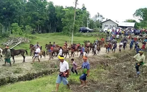 Perempuan Sumba dan Martabat Keluarga dalam Adat Belis