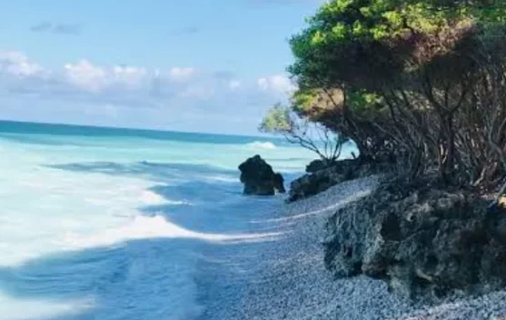 Pantai Oebon Muncul Sebagai Magnet Wisata Baru TTS