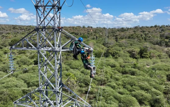 Kisah Teknisi PLN: Panen Isolator di Tower 86 Kupang Demi Listrik 70 kV Tetap Andal
