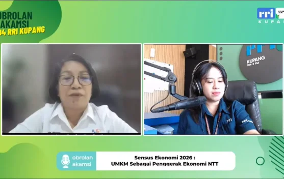 BPS NTT: Data Sensus Ekonomi 2026 Jadi Kunci Dongkrak Nilai Tambah Produk Lokal