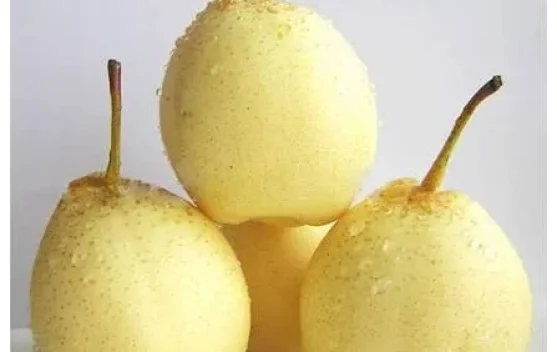 Buah-Buah yang aman untuk penderita Gula