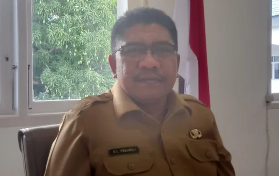 Bupati Sumba Timur Harapkan Dukungan Dana Pusat Bangun Infrastruktur Jalan