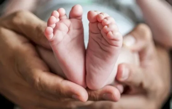 Bayi Perempuan Ditemukan di Kardus di Hutan Mnera Kabnono, Kupang
