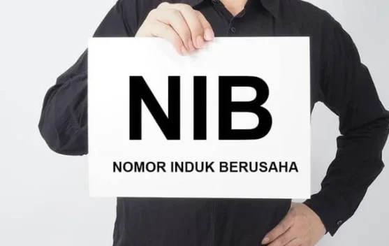 NIB Koperasi Bisa Terbit dalam Hitungan Menit