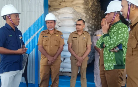 Bulog Jamin Harga Gabah Petani Rote