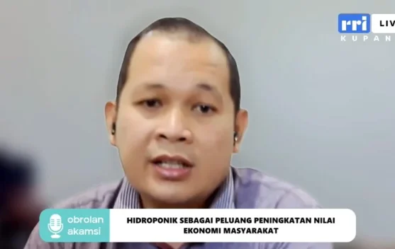 Pasokan Terjaga, Evolusi Hidroponik Dongkrak Ekonomi Lokal
