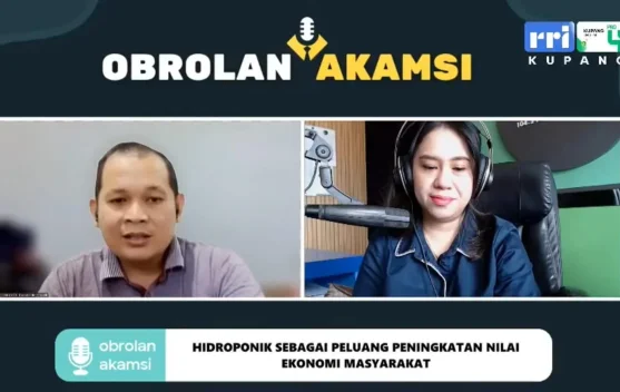 Evolusi Hidroponik Ajak Anak Muda Tak Malu Jadi Petani