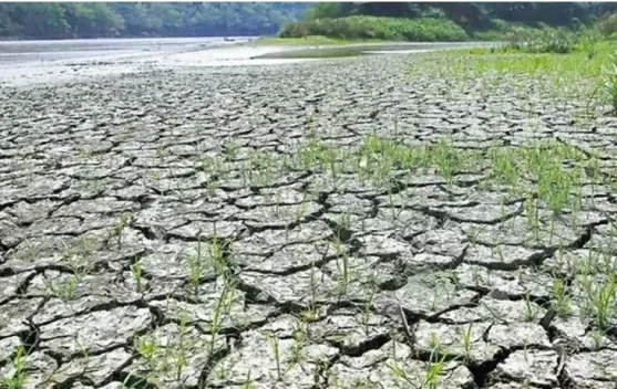 BMKG Ingatkan El Nino 2026 Berpotensi Perpanjang Kemarau di NTT