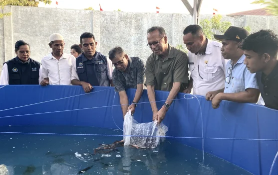 Usman Husin Serahkan Bantuan Bioflok Nila Sumba Barat