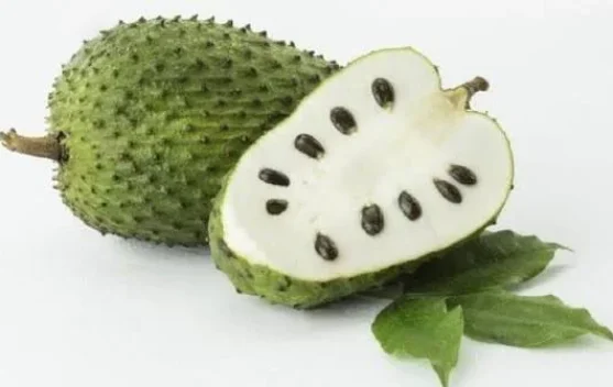 Khasiat Buah Sirsak untuk Tubuh