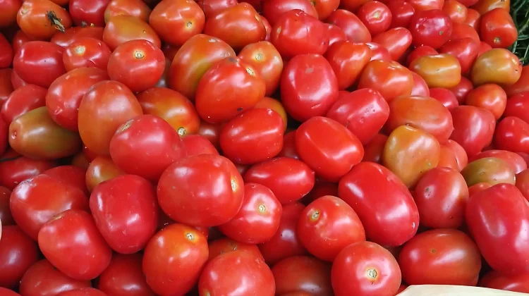 Harga Tomat di Lhokseumawe Capai Rp15.000 Jelang Meugang Puasa