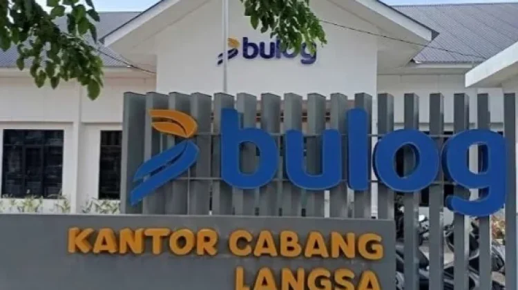 Stok Pangan Aman, Bulog Langsa Serap 31.700 Ton