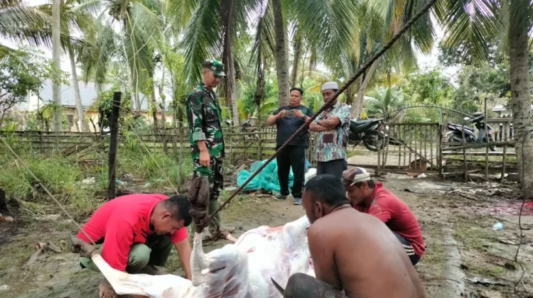 Terima Bantuan Meugang, Ini Langkah Pemkab Aceh Utara