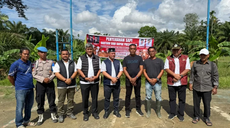 Bupati Aceh Utara Bagikan Bantuan 1.109 Sapi untuk 852 Gampong