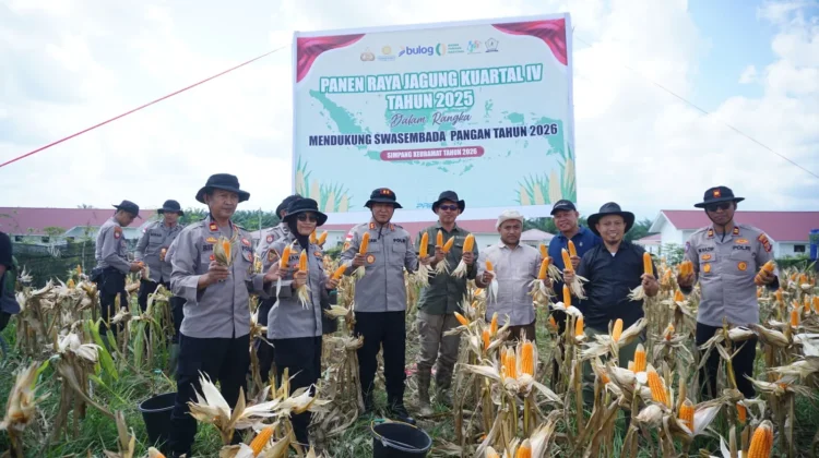 Panen Raya Jagung 5 Hektar, Perkuat Swasembada Pangan Nasional