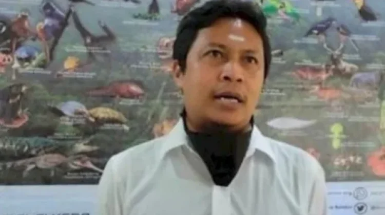 Banjir dan Longsor Ganggu Jalur Jelajah Satwa di Aceh