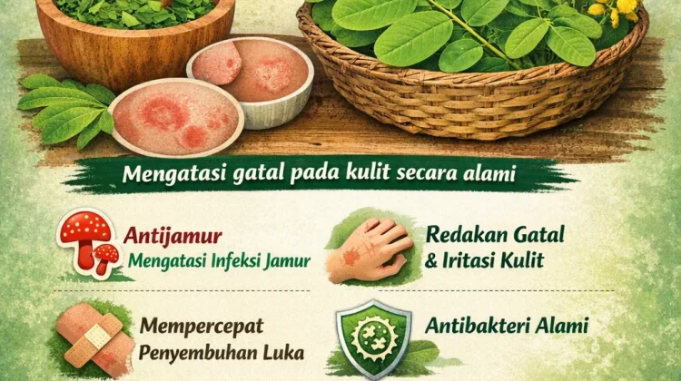 Manfaat Daun Gelinggang untuk Mengatasi Penyakit Gatal pada Kulit