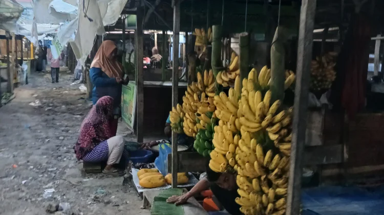 Harga Pisang Barangan Menguntungkan Petani di Lhokseumawe