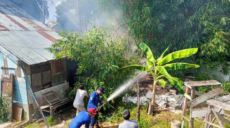 Api Bakar Rumpun Bambu di Kutablang, Nyaris Capai Rumah