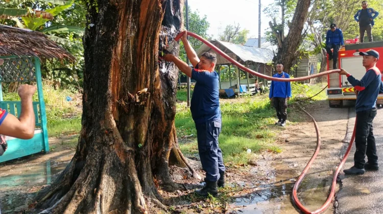 Bakar Sampah Berujung Kebakaran di Muara Satu