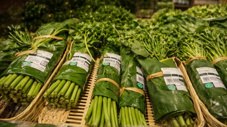 Langkah Hijau! Thailand Kurangi Plastik Pakai Daun Pisang