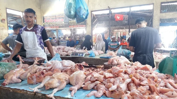 Harga Ayam Potong di Pasar Inpres Lhokseumawe Capai Rp90 Ribu per Ekor