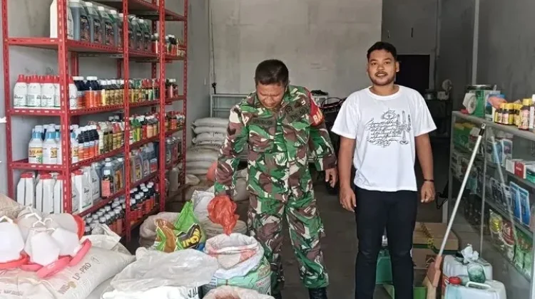 Kawal Ketahanan Pangan, Babinsa Pastikan Stok Pupuk Aman