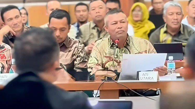 Bupati Ayahwa Minta Pusat Segera Perbaiki 18 Ribu Hektar Sawah Rusak