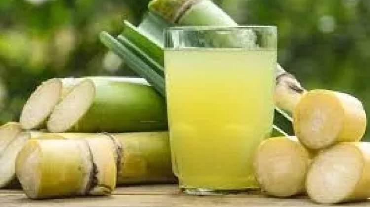 Air Tebu, Energi Alami yang Mengembalikan Cairan Tubuh