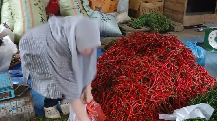 Harga Cabai Merah di Lhokseumawe Turun, Pasokan Melimpah dari Petani