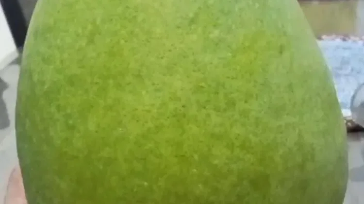 Manis dan Menyegarkan, Buah Mangga Jadi Primadona di Musim Panas
