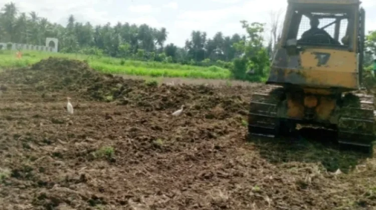 Pemkab Bireuen Mulai Rehabilitasi 677 Hektare Sawah Rusak Sedang