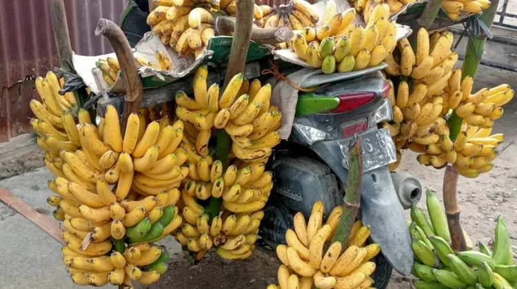 Pisang, Superfood Murah dengan Segudang Manfaat Kesehatan